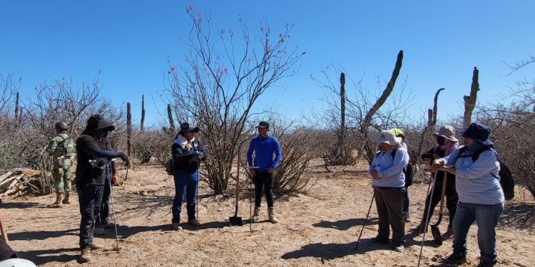 EN JORNADA DE BÚSQUEDA, LOCALIZAN INHUMACIONES CLANDESTINAS EN LA PAZ
