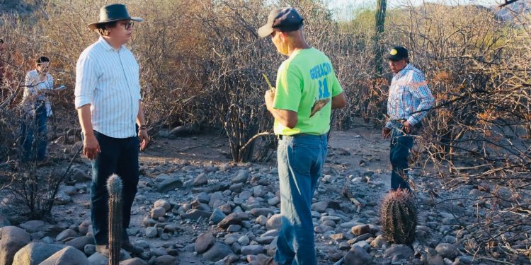 UABCS PARTICIPA EN JORNADA NACIONAL POR LA PAZ Y CONTRA LAS ADICCIONES
