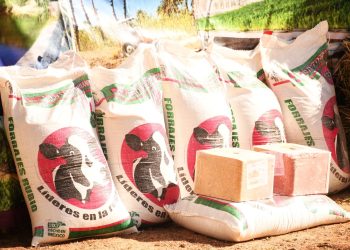 SUPERVISAN AUTORIDADES DE LOS TRES ORDENES DE GOBIERNO OBRA DE CONSTRUCCIÓN DE GASOLINERA EN LOS CABOS