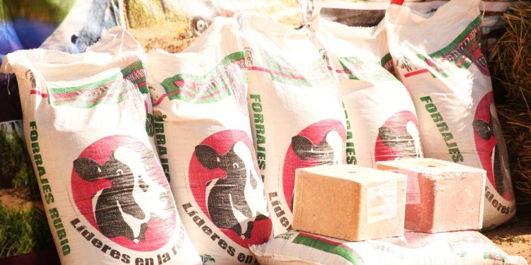 SUPERVISAN AUTORIDADES DE LOS TRES ORDENES DE GOBIERNO OBRA DE CONSTRUCCIÓN DE GASOLINERA EN LOS CABOS