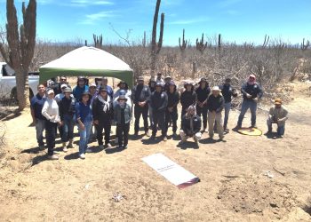 LOGRA SNE DURANTE EL PRIMER SEMESTRE DEL 2025 INCORPORAR MÁS DE 3 MIL 400 EMPLEOS