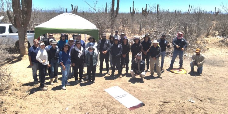 LOGRA SNE DURANTE EL PRIMER SEMESTRE DEL 2025 INCORPORAR MÁS DE 3 MIL 400 EMPLEOS