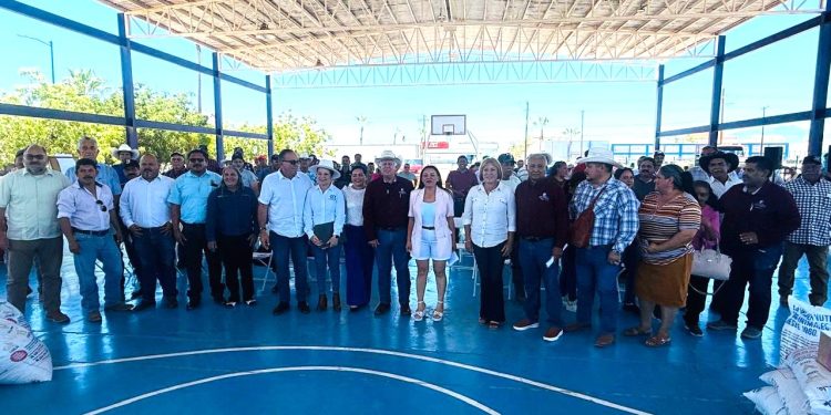 ANUNCIA REPUVE REAPERTURA DEL PORTAL DE TRÁMITES DE REGULARIZACIÓN VEHICULAR