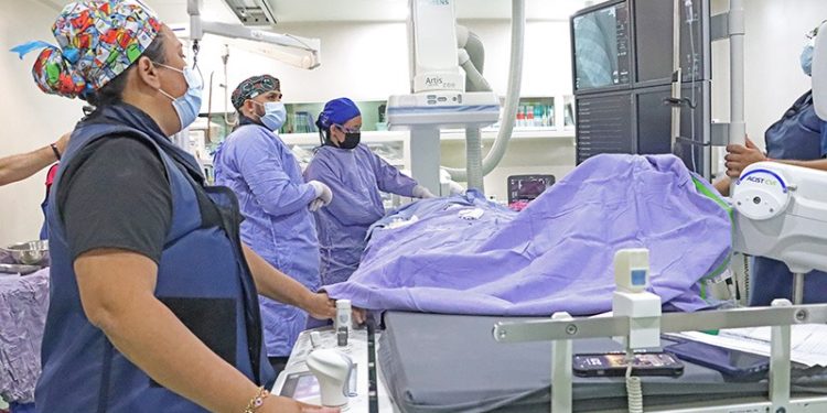 GOBIERNO DE BCS FORTALECE ACCIONES DE PREVENCIÓN CONTRA EL GUSANO BARRENADOR