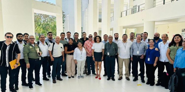 INICIAN ESTE FIN DE SEMANA LAS ACTIVIDADES DEL FESTIVAL DEL MANGO DE TODOS SANTOS