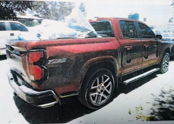 POR DELITO CONTRA LA BIODIVERSIDAD FGR OBTIENE VINCULACIÓN A PROCESO CONTRA UNA PERSONA EN BCS