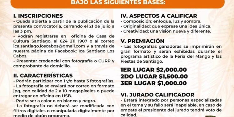 ABREN CONVOCATORIA PARA CONCURSO DE FOTOGRAFÍA EN LA FERIA DEL MANGO 2025 EN SANTIAGO