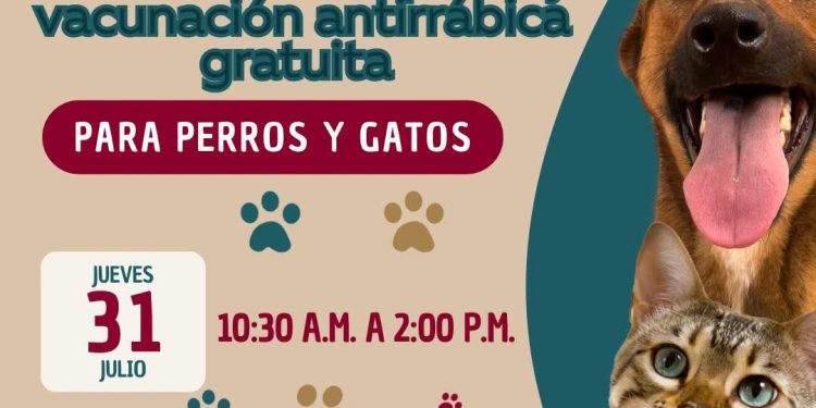 REALIZARÁN EN SAN JOSÉ DEL CABO JORNADA DE ADOPCIÓN Y VACUNACIÓN ANTIRRÁBICA PARA PERROS Y GATOS