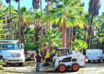 ESCULTURAS RECICLADAS EMBELLECEN LA ENTRADA DEL EDIFICIO DELEGACIONAL EN CABO SAN LUCAS