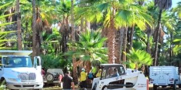 ESCULTURAS RECICLADAS EMBELLECEN LA ENTRADA DEL EDIFICIO DELEGACIONAL EN CABO SAN LUCAS