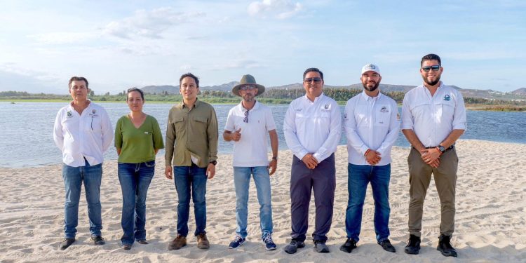 INICIA ANÁLISIS DE VIABILIDAD TÉCNICA PARA PROYECTO DE REFORESTACIÓN EN ESTERO DE SAN JOSÉ DEL CABO