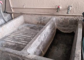 RECOMIENDA IMSS BCS MANTENER PATIOS Y AZOTEAS LIMPIAS Y PREVENIR ENFERMEDADES OCASIONADAS POR MOSQUITOS