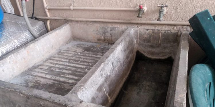 RECOMIENDA IMSS BCS MANTENER PATIOS Y AZOTEAS LIMPIAS Y PREVENIR ENFERMEDADES OCASIONADAS POR MOSQUITOS