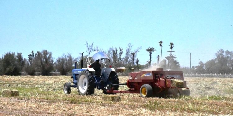 FORTALECE LA POLICÍA ESTATAL PREVENTIVA LA PREVENCIÓN DEL DELITO A TRAVÉS DEL SECTOR EMPRESARIAL