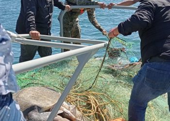 INICIA COEPRIS LA SEMANA NACIONAL DE PROTECCIÓN CONTRA RIESGOS SANITARIOS