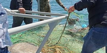 INICIA COEPRIS LA SEMANA NACIONAL DE PROTECCIÓN CONTRA RIESGOS SANITARIOS