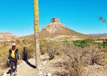 SETUE BCS INVITA A REGISTRAR PROYECTOS  TURÍSTICOS COMUNITARIOS EN GUÍA NACIONAL