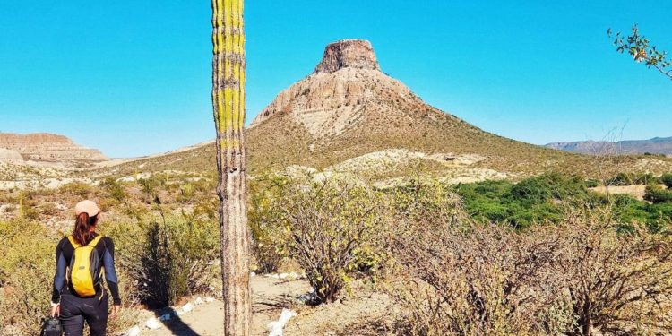 SETUE BCS INVITA A REGISTRAR PROYECTOS  TURÍSTICOS COMUNITARIOS EN GUÍA NACIONAL