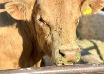 ASIGNA SEP BCS PLAZAS DEFINITIVAS, TEMPORALES Y EVENTUALES A DOCENTES DE SECUNDARIA