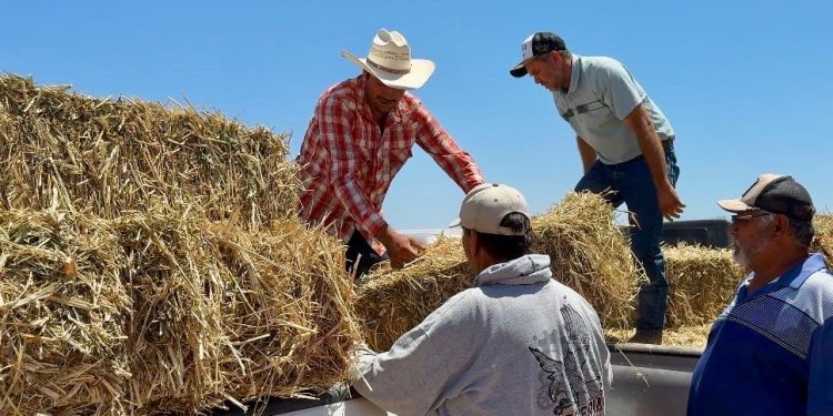 EGRESAN MÁS DE 13 MIL ESTUDIANTES DE SECUNDARIA EN EL CICLO 2024-2025