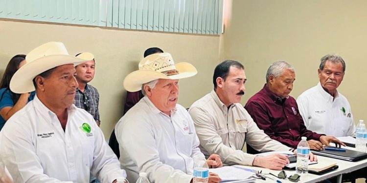 IMPULSA GOBIERNO DE BCS ACCIONES DE PREVENCIÓN CONTRA EL VIRUS DEL PAPILOMA HUMANO