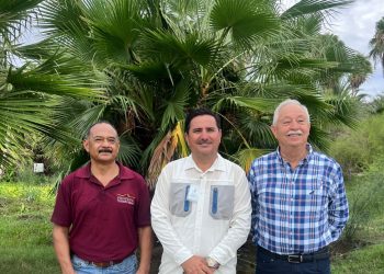    ATIENDE AYUNTAMIENTO DE LOS CABOS DENUNCIA CIUDADANA EN MATERIA DE PROTECCIÓN A LA TORTUGA MARINA