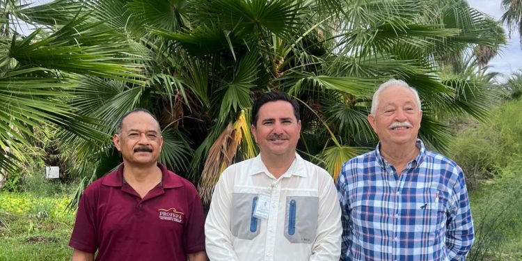    ATIENDE AYUNTAMIENTO DE LOS CABOS DENUNCIA CIUDADANA EN MATERIA DE PROTECCIÓN A LA TORTUGA MARINA