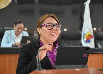 PROPONE DIPUTADA TERESITA VALENTÍN ARMONIZACIÓN DE USO SEGURO DE INTERNET PARA NNA