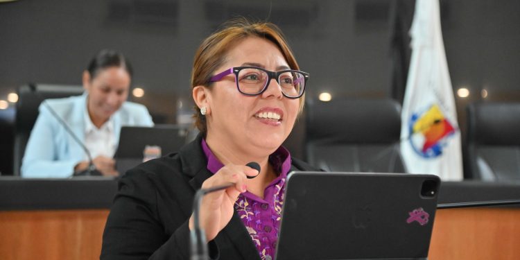 PROPONE DIPUTADA TERESITA VALENTÍN ARMONIZACIÓN DE USO SEGURO DE INTERNET PARA NNA