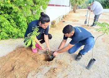 INICIA PROGRAMA DE REHABILITACIÓN DE PARQUES EN LOS CABOS