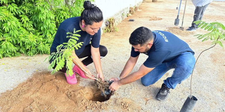 INICIA PROGRAMA DE REHABILITACIÓN DE PARQUES EN LOS CABOS