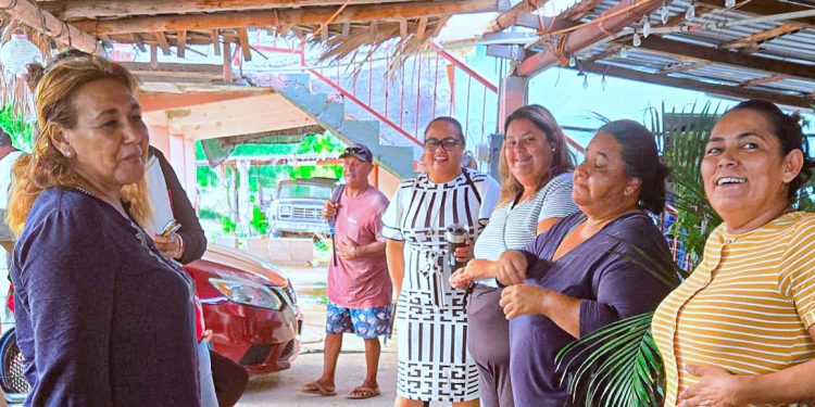 AYUNTAMIENTO DE LOS CABOS IMPULSA AL SECTOR GANADERO CON SUBSIDIOS EN LA ENTREGA DE ALFALFA