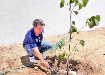 GOBIERNO MUNICIPAL ENTREGA CERTIFICADOS DE “REFUGIO TEMPORAL SEGURO “ A HOTELES EN CABO SAN LUCAS