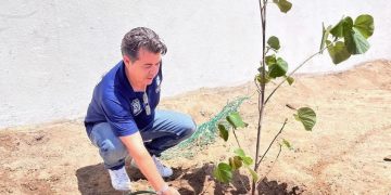 GOBIERNO MUNICIPAL ENTREGA CERTIFICADOS DE “REFUGIO TEMPORAL SEGURO “ A HOTELES EN CABO SAN LUCAS