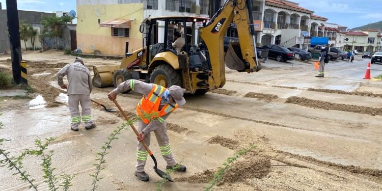 BRIGADAS DE SERVICIOS PÚBLICOS REALIZAN LIMPIEZA Y DESAZOLVE EN VIALIDADES DE SAN JOSE DEL CABO