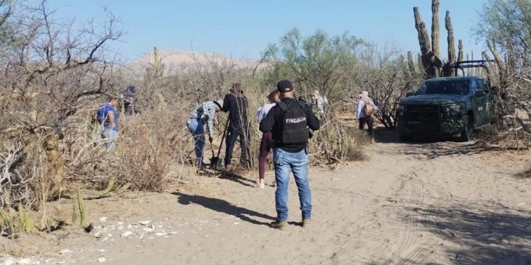 LOCALIZADAS 50 INHUMACIONES CLANDESTINAS DE SEPTIEMBRE DEL 2024 A LA FECHA INFORMA PGJE