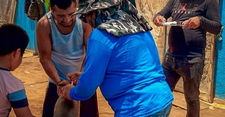 CONTINÚA CAMPAÑA DE VACUNACIÓN ANTIRRÁBICA Y REGISTRO DE MASCOTAS EN VIZCAÍNO