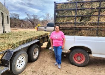 ASEGURAN ARMAS, CHALECOS, CARGADORES Y VEHÍCULOS EN OPERACIONES REALIZADAS EN LA PAZ Y LORETO