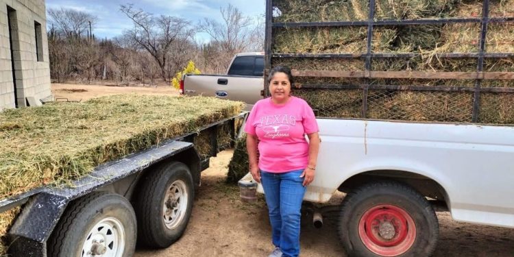 ASEGURAN ARMAS, CHALECOS, CARGADORES Y VEHÍCULOS EN OPERACIONES REALIZADAS EN LA PAZ Y LORETO
