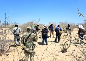 LLEVAN A CABO JORNADAS DE BÚSQUEDA GENERALIZADA EN LA PAZ Y COMONDÚ