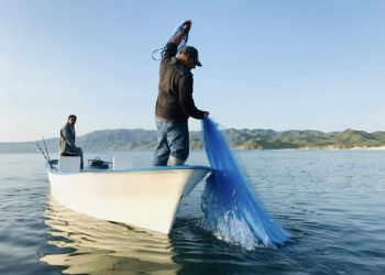 UABCS REALIZA FERIA DE SERVICIOS PARA ASPIRANTES DE NUEVO INGRESO