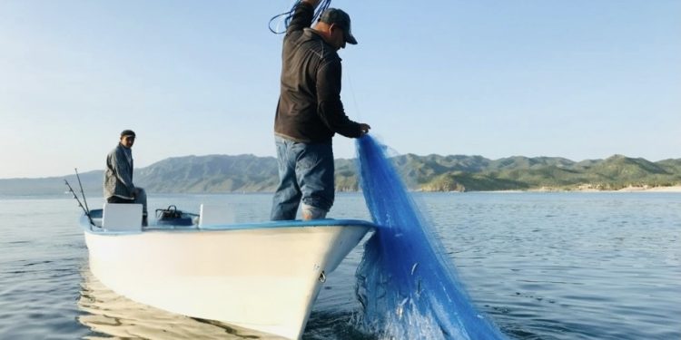 UABCS REALIZA FERIA DE SERVICIOS PARA ASPIRANTES DE NUEVO INGRESO