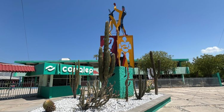 PARTICIPARÁ IMSS BAJA CALIFORNIA SUR EN EXPOSICIÓN COLECTIVA DE FOTOGRAFÍA