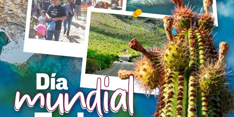 BCS CONMEMORA EL DÍA DEL TURISMO DESTACANDO SU TRANSFORMACIÓN SOSTENIBLE