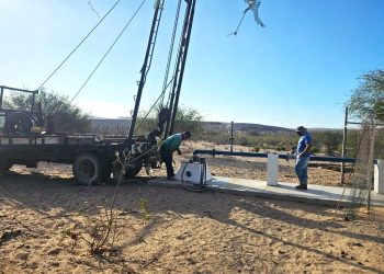 FORTALECEN ACCIONES DEL PLAN ESTRATÉGICO  EN MATERIA DE TUBERCULOSIS BOVINA EN BCS