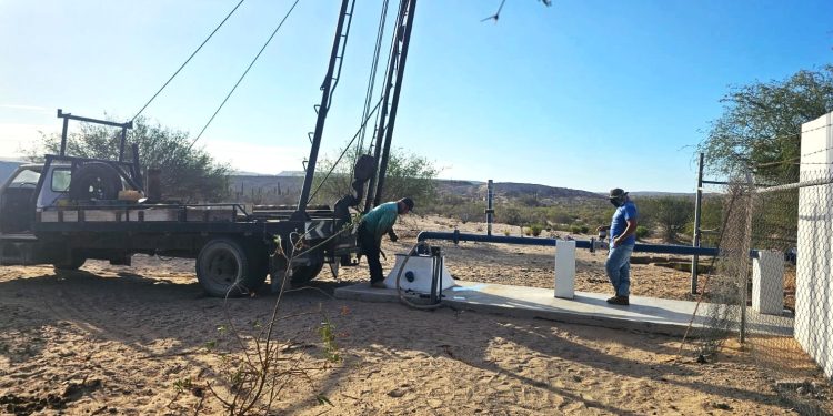 FORTALECEN ACCIONES DEL PLAN ESTRATÉGICO  EN MATERIA DE TUBERCULOSIS BOVINA EN BCS