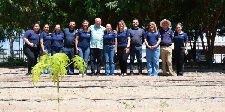 RECONOCE CASTRO COSIÓ EL TRABAJO DEL ICATEBCS EN BENEFICIO DE LA POBLACIÓN SUDCALIFORNIANA