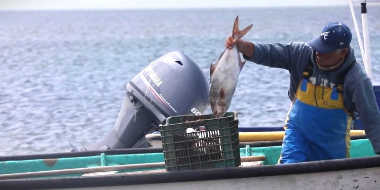 OBTIENE PGJE TRES FALLOS CONDENATORIOS CONTRA CULPABLES DE LESIONES CALIFICADAS EN LORETO