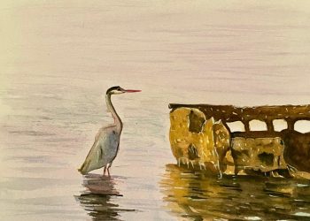 OBTIENE PGJE TRES FALLOS CONDENATORIOS CONTRA CULPABLES DE LESIONES CALIFICADAS EN LORETO