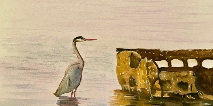 OBTIENE PGJE TRES FALLOS CONDENATORIOS CONTRA CULPABLES DE LESIONES CALIFICADAS EN LORETO